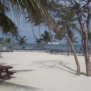 Meet your Posher, Donna